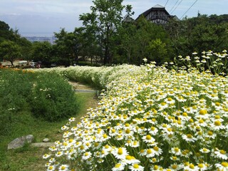 神戸布引ハーブ園