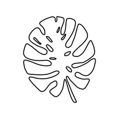 Monstera leaf icon vector. Tropical leaves illustration sign. Palm symbol or logo.