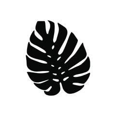 Monstera leaf icon vector. Tropical leaves illustration sign. Palm symbol or logo.