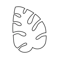 Monstera leaf icon vector. Tropical leaves illustration sign. Palm symbol or logo.