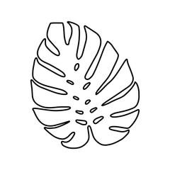 Monstera leaf icon vector. Tropical leaves illustration sign. Palm symbol or logo.
