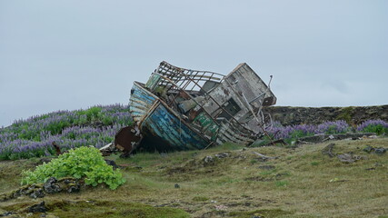 Schiffswrack in Iceland