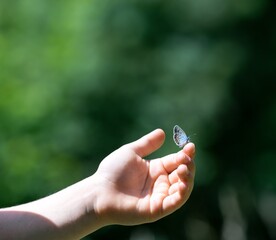 A little girl looks at a butterfly on her hand in the summer meadow