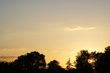 Sunset behind the trees. The sky shines in warm amber colors