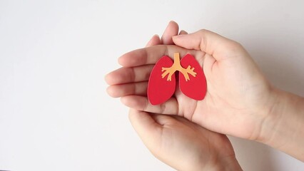 hand holding lung shape made from paper on blue background with copy space, world tuberculosis day, transplant concept.