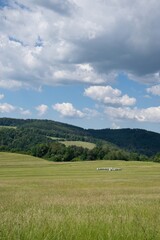 View of fences for horses, countryside, beautiful summer weather.