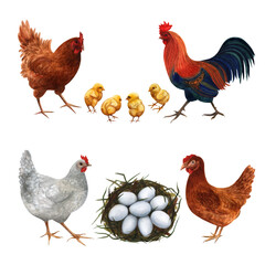 Watercolor illustration of a mother hen with chicks, a nest with chicken eggs and a rooster isolated on a white background.