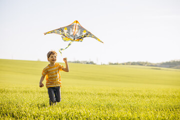 Little boy playing with kite at a green meadow