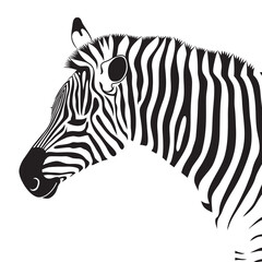 Zebra animal head on white background, vector illustration.
