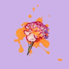Spring or summer modern layout with flower head and orange paint spill on it on pastel purple background. Aesthetic fashion bloom concept. Minimal idea.
