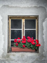Fototapeta na wymiar Old Window in North Italy