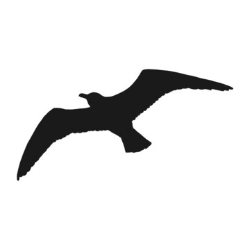 recommend clip art: Silhouette of flying seagulls. Hand drawn illustration converted to vector.