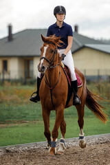 Fototapeta premium A young and pretty girl is learning to ride a thoroughbred Mare on a summer day at the ranch. Horse riding, training and rehabilitation