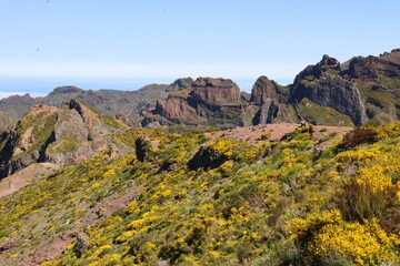 Obraz premium Madère, Portugal