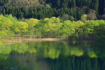 秋田県仙北市　初夏の秋扇湖