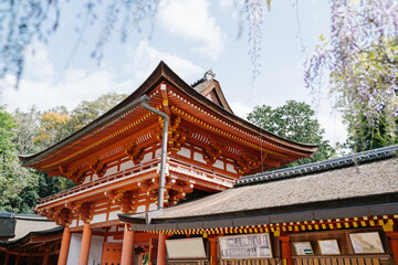 Fototapeta na wymiar exterior of the famous orange religious building of Kasuga Taisha shrine in nara, japan, on sunny day. architecture photography concept.