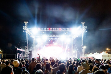 Público en un concierto al aire libre