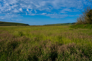 View towards Cuckmere Haven showing the coastguard cottages in the distance