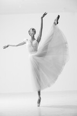 Young Beautiful Female Ballerina Posing on Studio Background