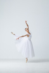 Young Beautiful Female Ballerina Posing on Studio Background - 511045184