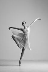 Young Beautiful Female Ballerina Posing on Studio Background - 511045333