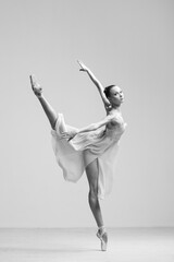 Young Beautiful Female Ballerina Posing on Studio Background - obrazy, fototapety, plakaty