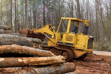 Backhoe for forestry work during clearing forest for new development construction site