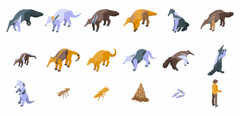Anteater icons set isometric vector. Animal ant. Big giant