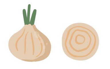 Hand drawn Onion in cartoon style. Healthy food elements. Vector illustration isolated on white background