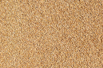 Wheat grains in sack. Close-up of cereal seeds.