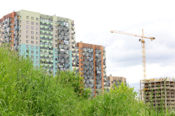 Fototapeta na wymiar View to new residential buildings and construction crane from summer meadow with green grass. Concept of real estate in ecologically clean area