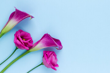 Beautiful Floral Flat lay Mock up Layout. Minimal Floral Frame for Presentation, Social Media, Greeting Background.