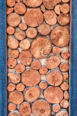 A lot of sawn branches and trunks of different diameters as decoration. Wooden background and material