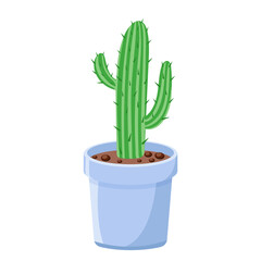 Beautiful prickly elongated cactus in pot isolated vector. Illustration succulent for interior of apartment, office and room. Single desert plant cartoon