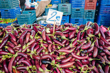 Sale of fresh abundant eggplant harvest at a local farmer's market in Turkey with price tag 2...