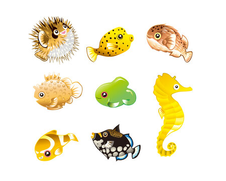 海の魚達(ダンゴウオ・ハリセンボン・タツノオトシゴなど)