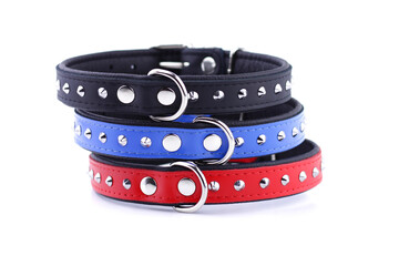 Dog collars in black, blue, red with studs isolated on white background