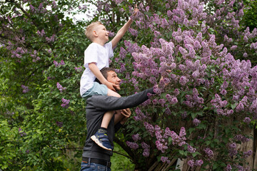 The boy is sitting on Dad's shoulders, and they are laughing. Reaching for flowers