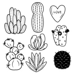 Outline doodle cactus. Hand drawn cactus black and white line art set. Vector illustration on white background in line style.