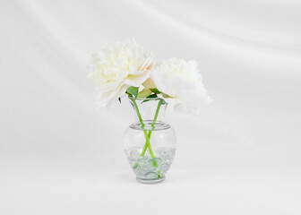 Two white peony flowers in a clear glass vase isolated on an elegant swooped white fabric backdrop with copy space. Floral wedding greeting card background. Floral arrangement.