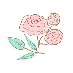 Vector pink rose flower with golden trim. Watercolor hand drawn illustration. Flower for wedding design.