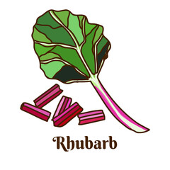 Rhubarb, Hand drawn flat cartoon vector illustration isolated on white background