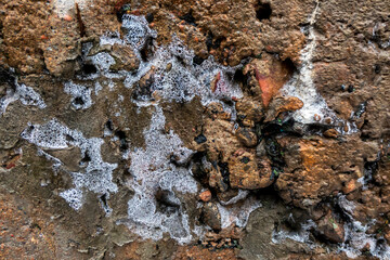 Beautiful frozen texture - ice