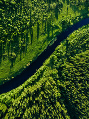 Aerial view of green woods with blue curved river. Beautiful summer landscape