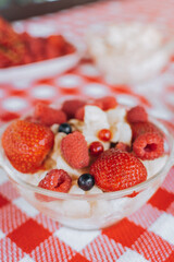 Healthy organic raw child diet eco friendly food.Bright colorful Red checked tablecloth.raspberry, strawberry, black currant, coffee cup. family having fresh summer morning breakfast picnic 