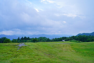 Fototapeta premium 広々としたキャンプ場