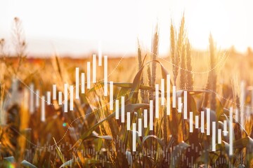 Rising wheat prices in Europe due to the conflict between Russia and Ukraine. Record prices and high prices for bakery.