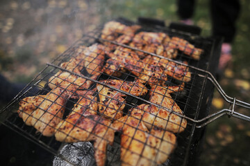 fried chicken wings are grilled in the forest, close-up, selective focus.  Metal grill for...