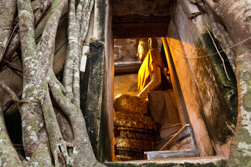 The old temple with banyan tree cover, inside with golden Buddha statue Father Nilmanee, Bang Kung Temple, Thailand.