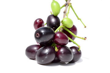 Java plum fruit isolated on white background